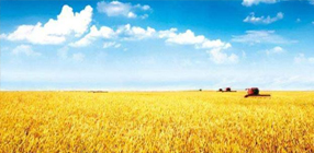 粮油检验与保管知识